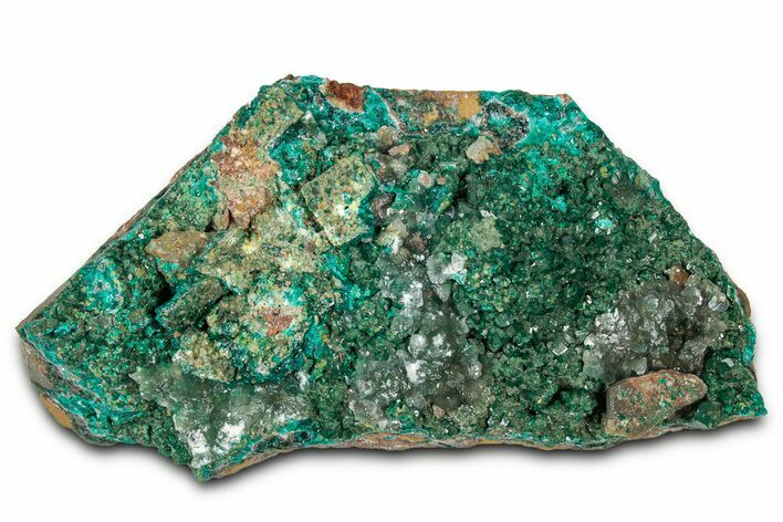 Sparkling Dioptase Crystal Cluster - Congo #326565